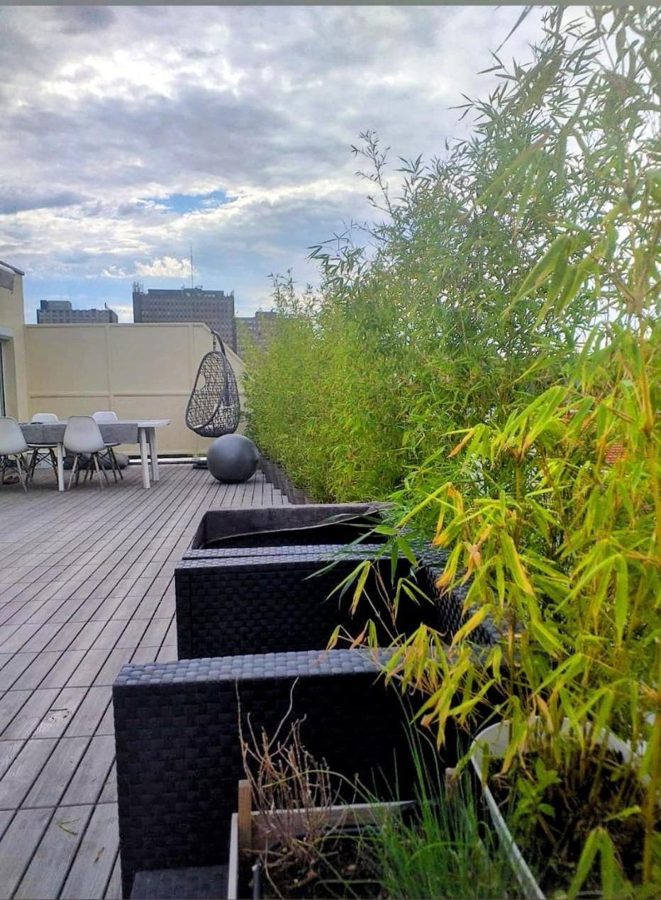 Appartement Attique Strasbourg Luaran gambar
